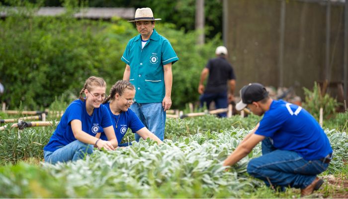  Censo Escolar 2025 aponta Paraná como um dos líderes em educação profissional no País 